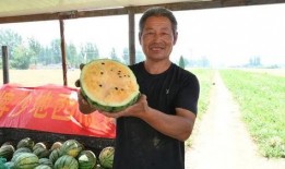 邵阳最新吃瓜爆料新闻,神秘事件背后真相揭晓！